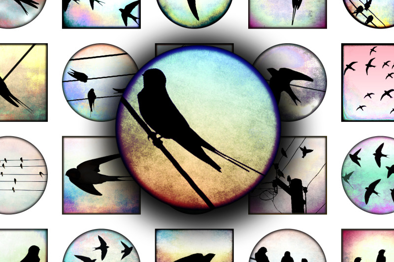 digital-collage-sheet-world-of-swallows