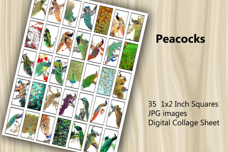 digital-collage-sheet-peacocks