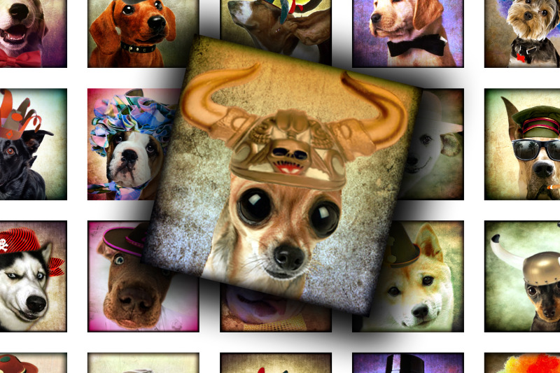 digital-collage-sheet-funny-dogs