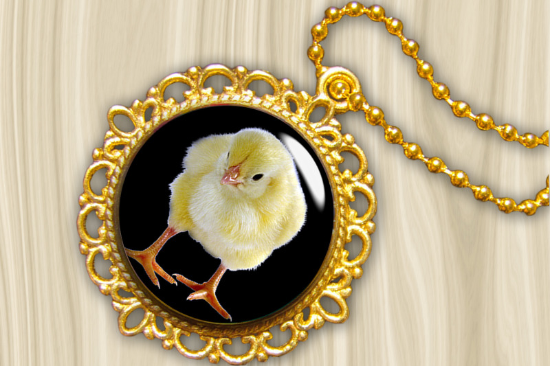 digital-collage-sheet-golden-chicken