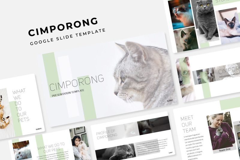 cimporong-google-slide-template