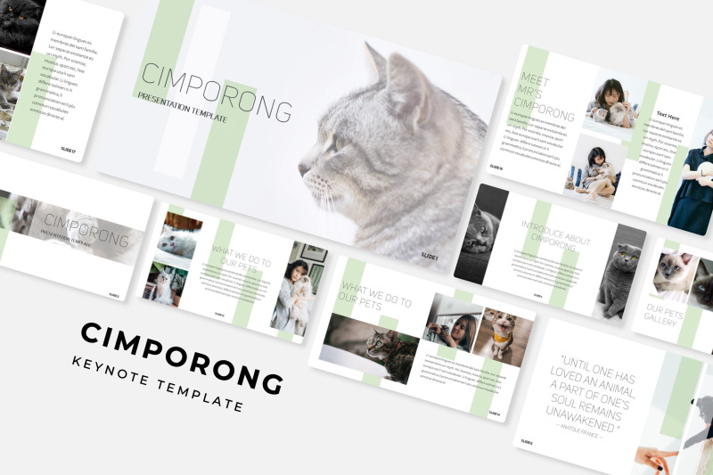 cimporong-keynote-template