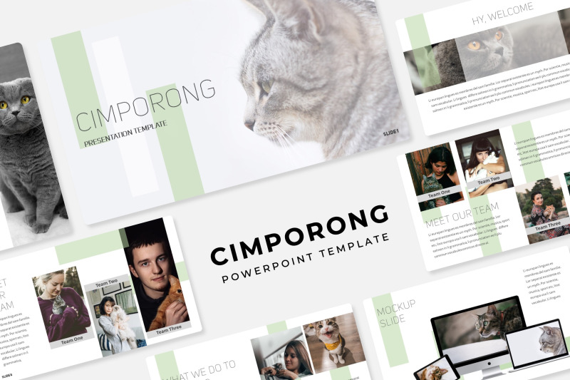 cimporong-power-point-template