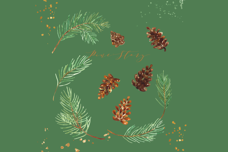 pine-branches-watercolor-clip-art