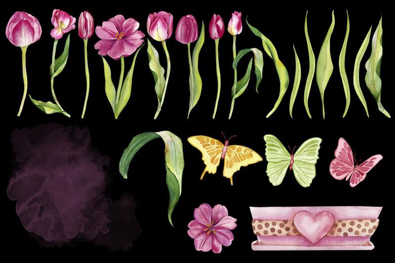 watercolor-pink-tulips-clipart-botanical-clipart