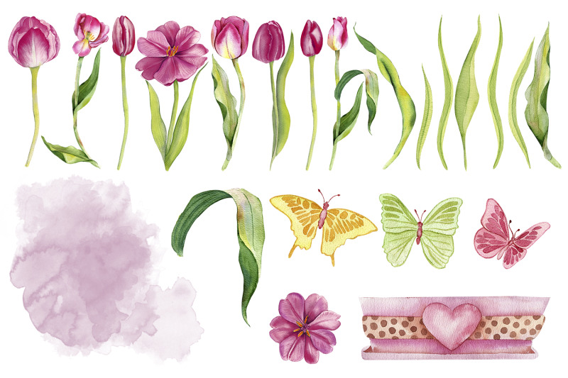 watercolor-pink-tulips-clipart-botanical-clipart