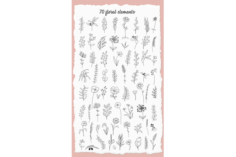 floral-elements-part-1-illustration-set