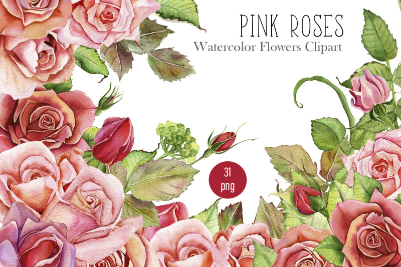 watercolor-pink-roses-flower-clipart