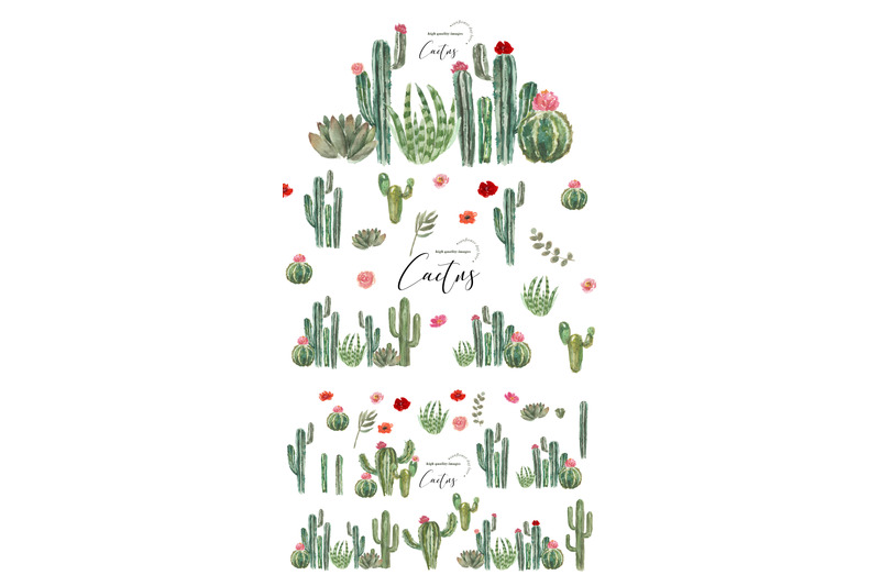 succulent-cactus-peach-flower-clipart-botanical-cacti-plant