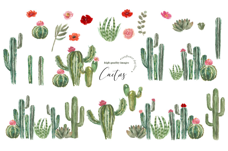 succulent-cactus-peach-flower-clipart-botanical-cacti-plant