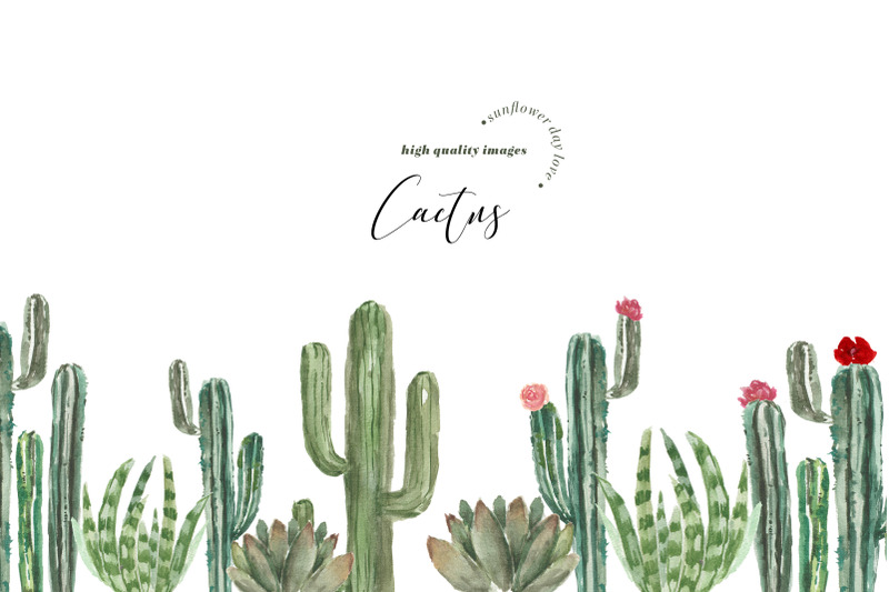 succulent-cactus-peach-flower-clipart-botanical-cacti-plant