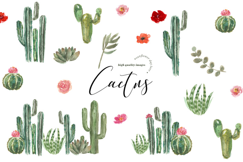 succulent-cactus-peach-flower-clipart-botanical-cacti-plant