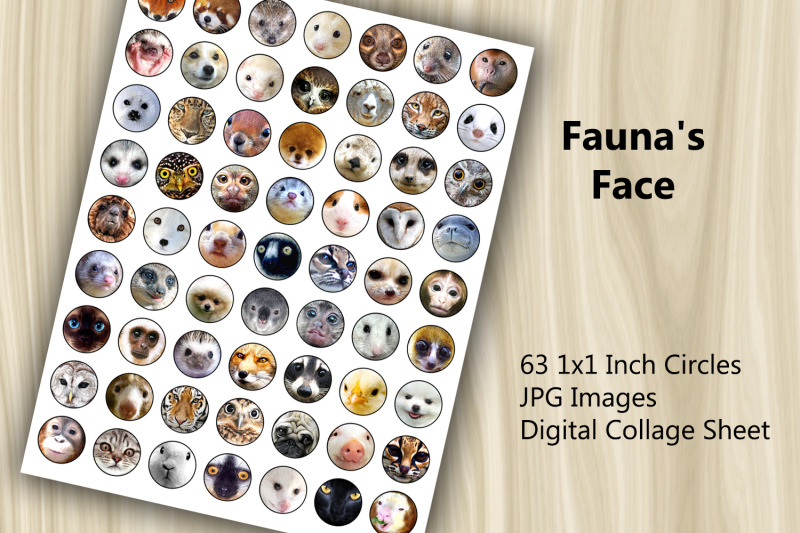 digital-collage-sheet-fauna-039-s-face