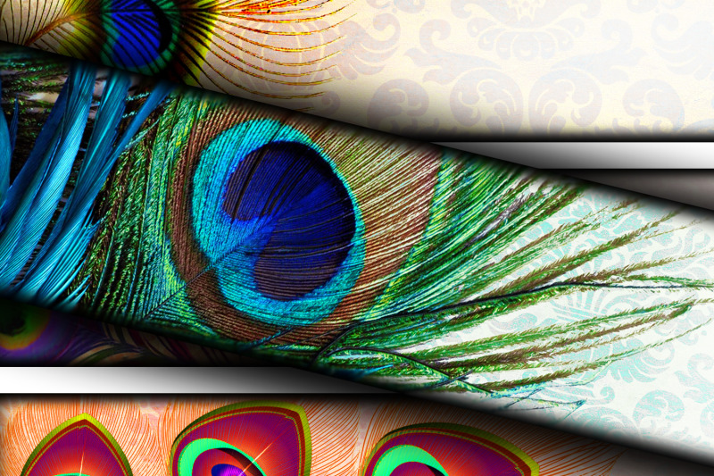 digital-collage-sheet-peacock-feather