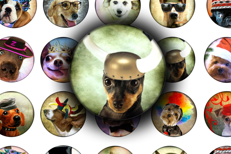 digital-collage-sheet-funny-dogs