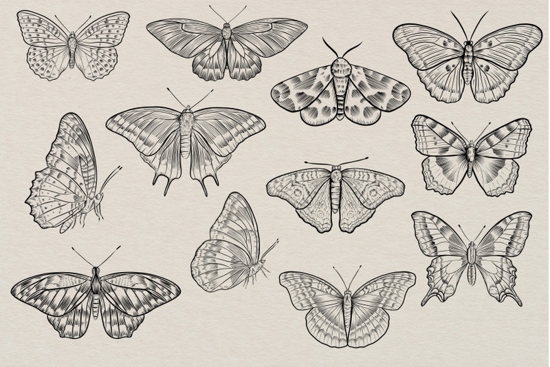 butterflies-lineart-clipart-black-outline-individual-clipart-png-but