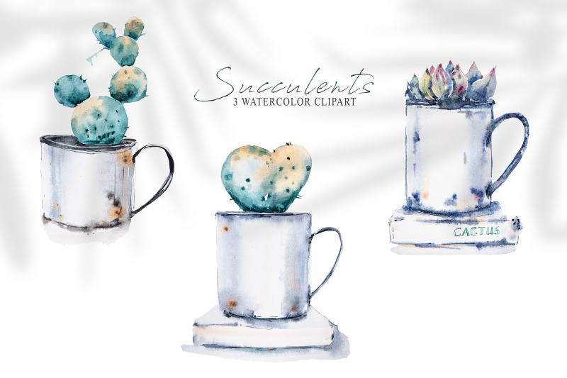 watercolor-potted-succulent-sublimation-cactus-clipart