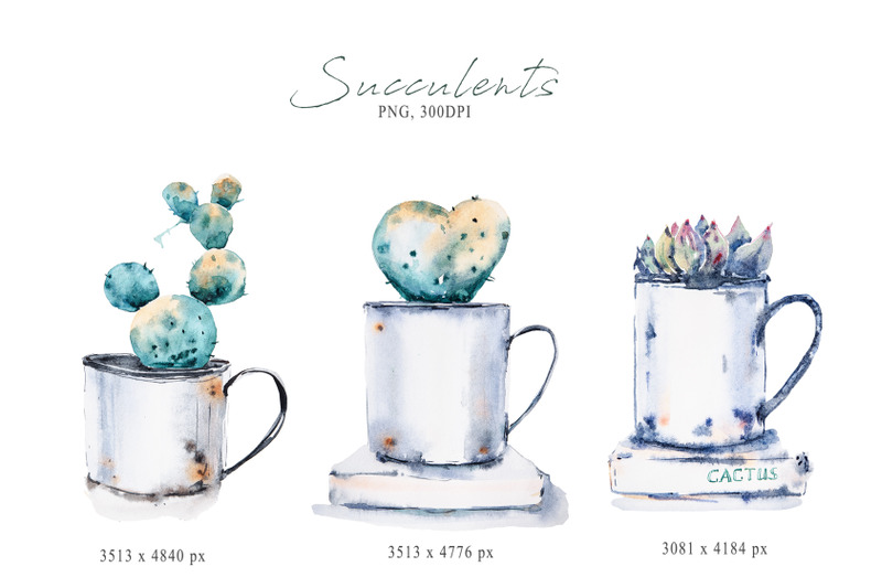 watercolor-potted-succulent-sublimation-cactus-clipart