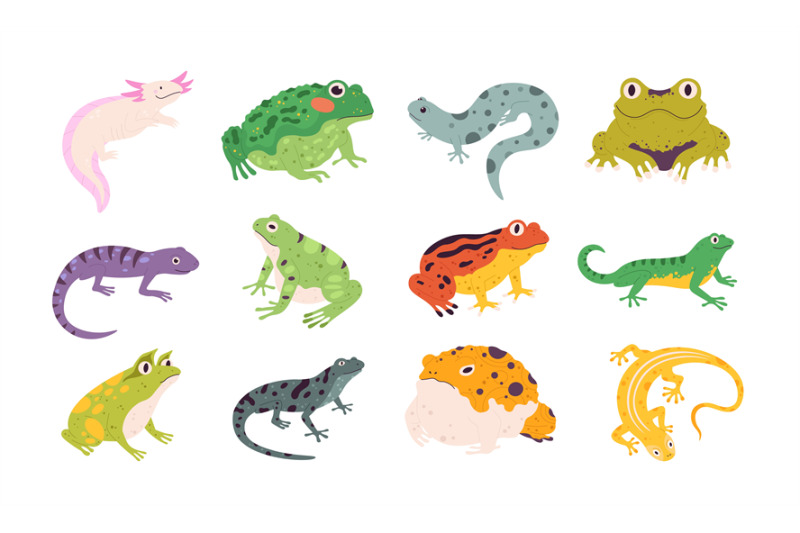 tropical-colorful-decorative-amphibian-frogs-lizards-and-toads-terra