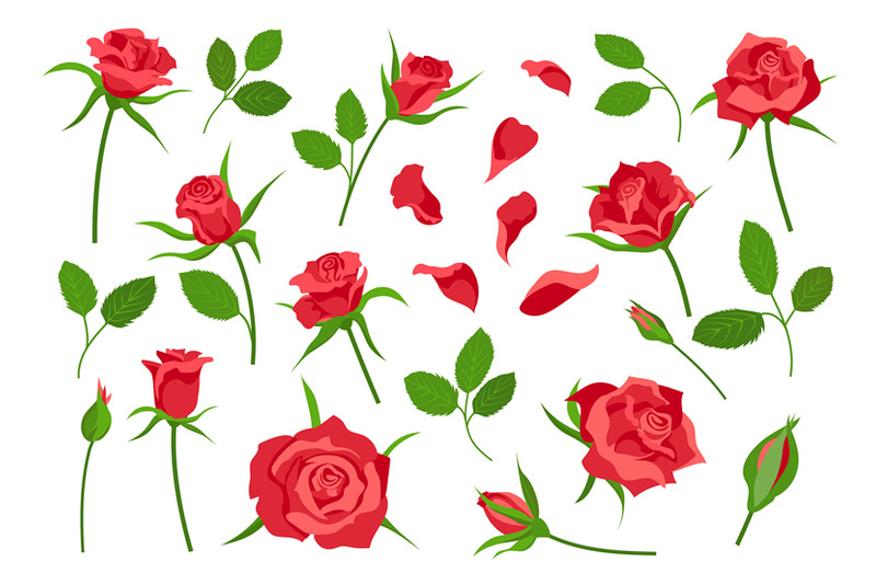 cartoon-rose-flower-elements-leaves-stem-petals-and-buds-red-bloom