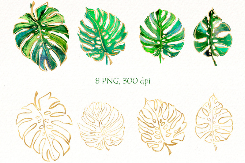 watercolor-monstera-clipart-tropical-leaves-clip-art-greenery-floral
