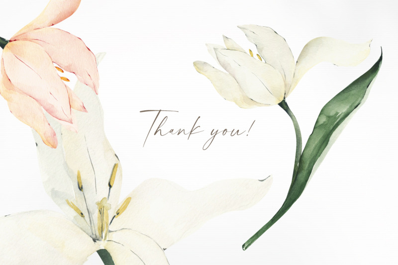 watercolor-tulips-clipart-floral-png-collection-pink-white-flowers