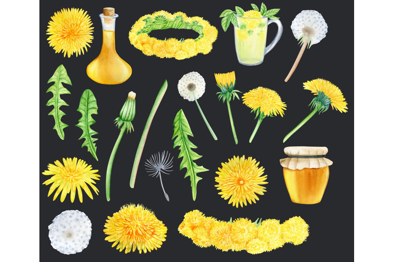 watercolor-dandelion-flowers-and-products-clipart-hand-painted-png