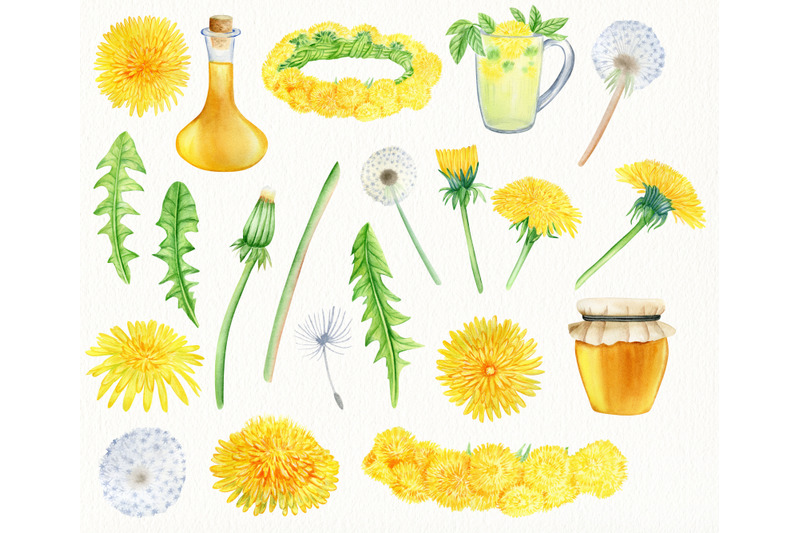 watercolor-dandelion-flowers-and-products-clipart-hand-painted-png
