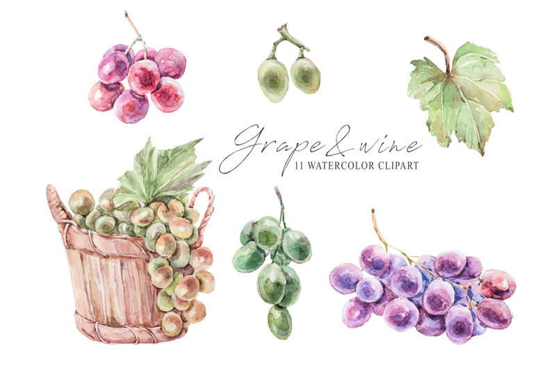 watercolor-vine-bottle-wine-grape-clipart-11-png-files