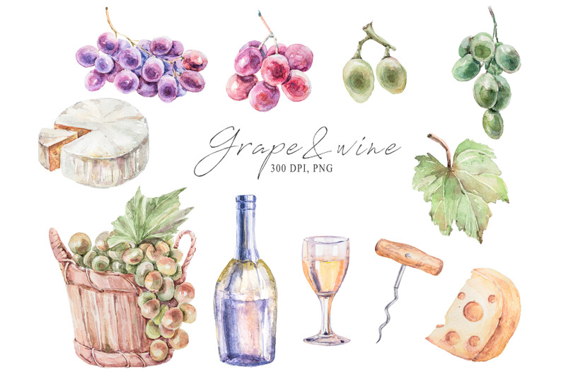 watercolor-vine-bottle-wine-grape-clipart-11-png-files