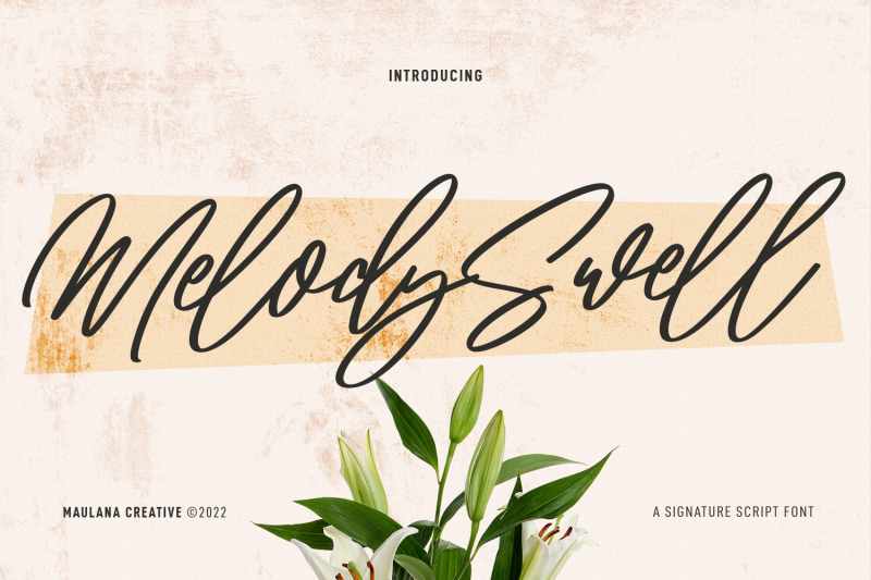 melody-swell-script-font