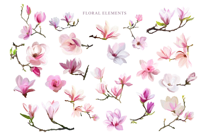 magnolia-flowers-hand-drawn-floral-elements-png