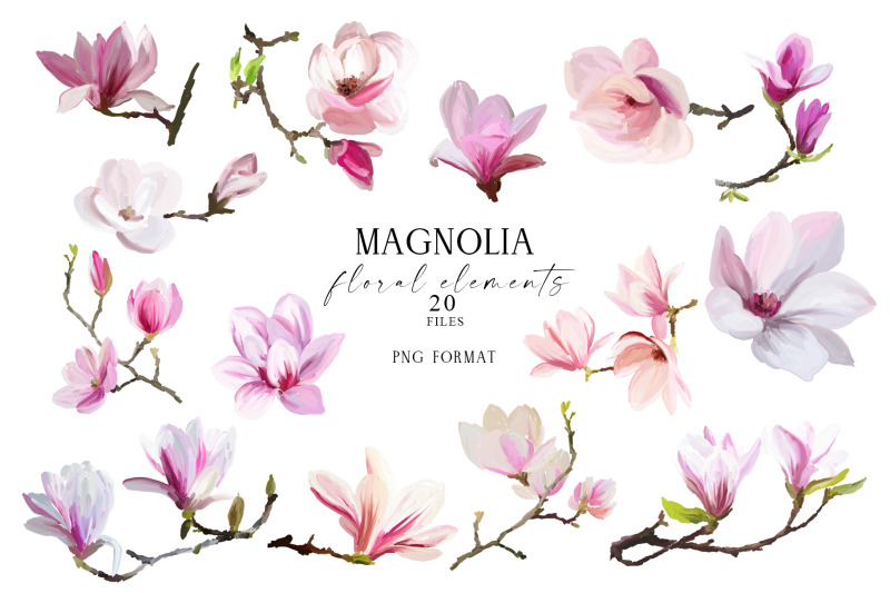 magnolia-flowers-hand-drawn-floral-elements-png