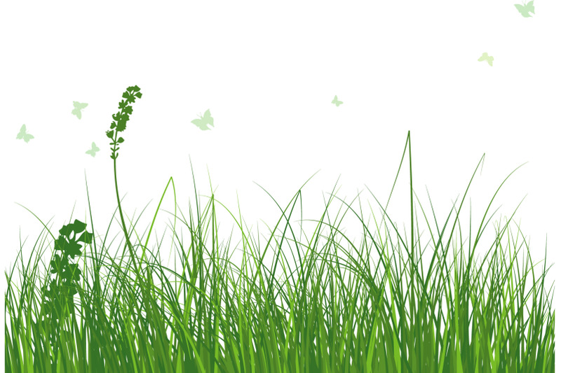 green-grass-meadow