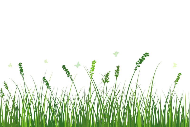 green-grass-meadow