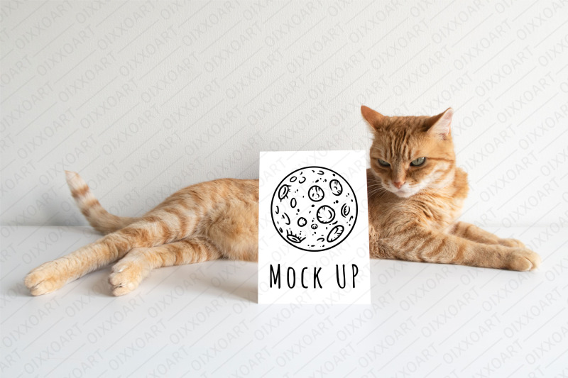 ginger-cat-postcards-mockups