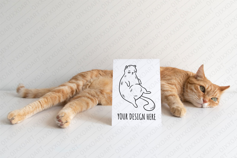 ginger-cat-postcards-mockups