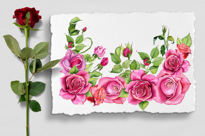 watercolor-pink-roses-flower-clipart