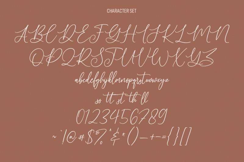 alto-bonito-script-font