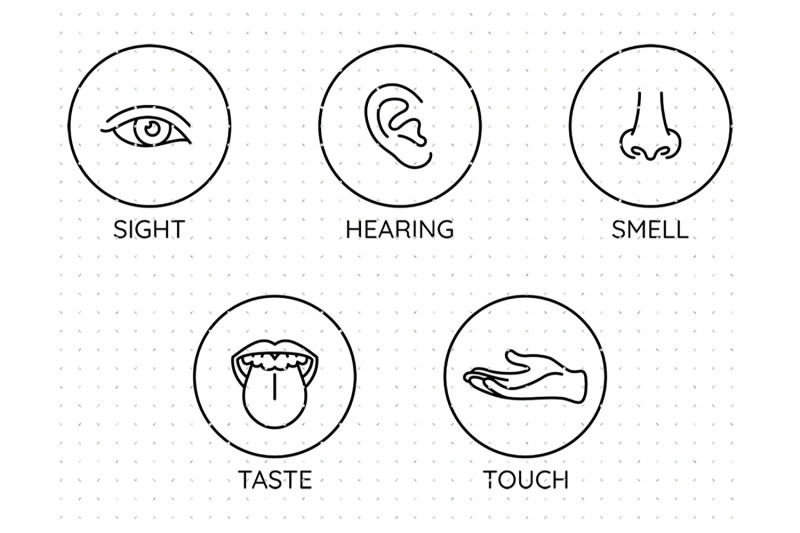 five-human-senses-icons-svg
