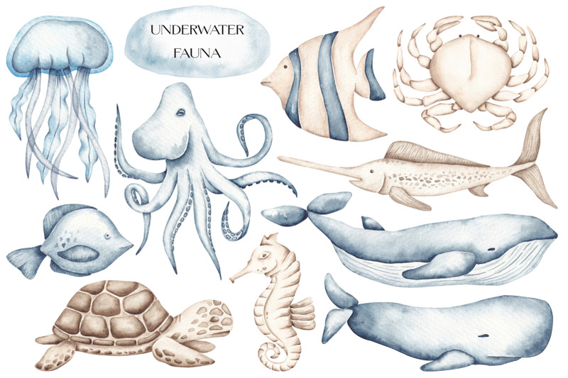 watercolor-clipart-ocean-life