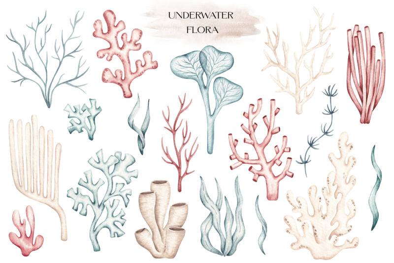 watercolor-clipart-ocean-life