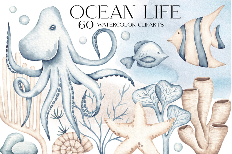 watercolor-clipart-ocean-life