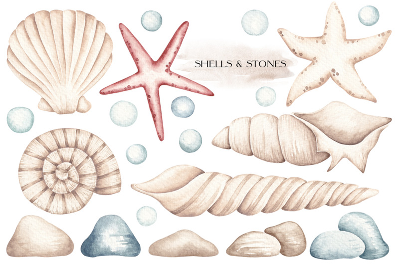 watercolor-clipart-ocean-life