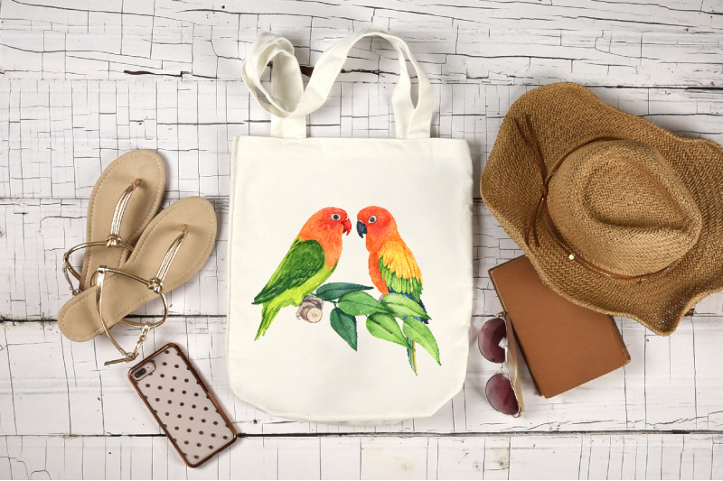 watercolor-tropical-birds-clipart-bundle-bird-of-paradise