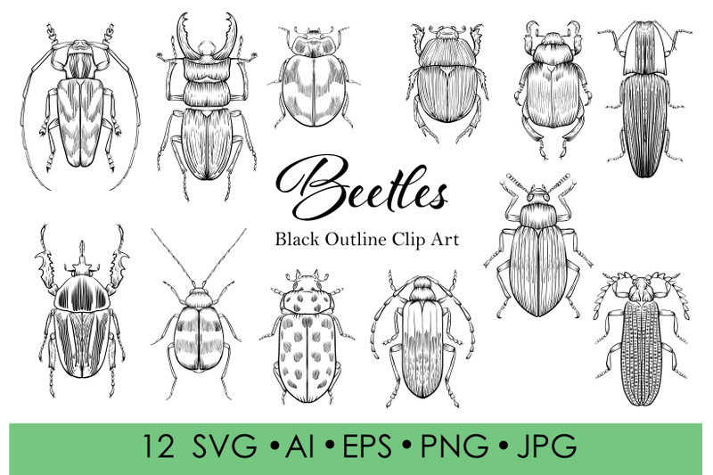 bugs-beetles-lineart-clipart-black-outline-individual-clipart