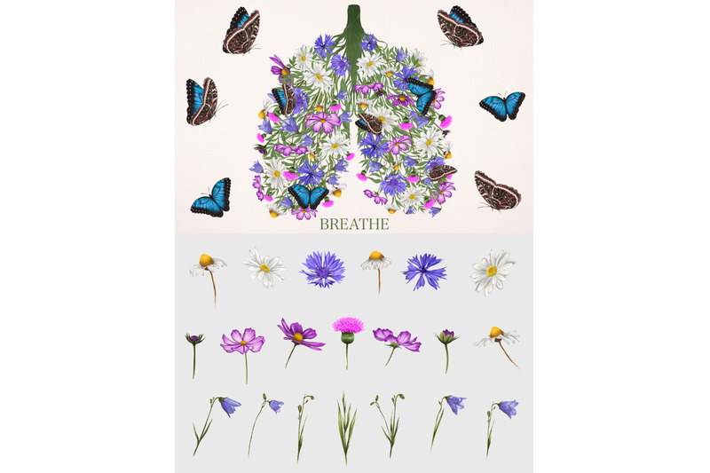 breath-lungs-with-meadow-flowers