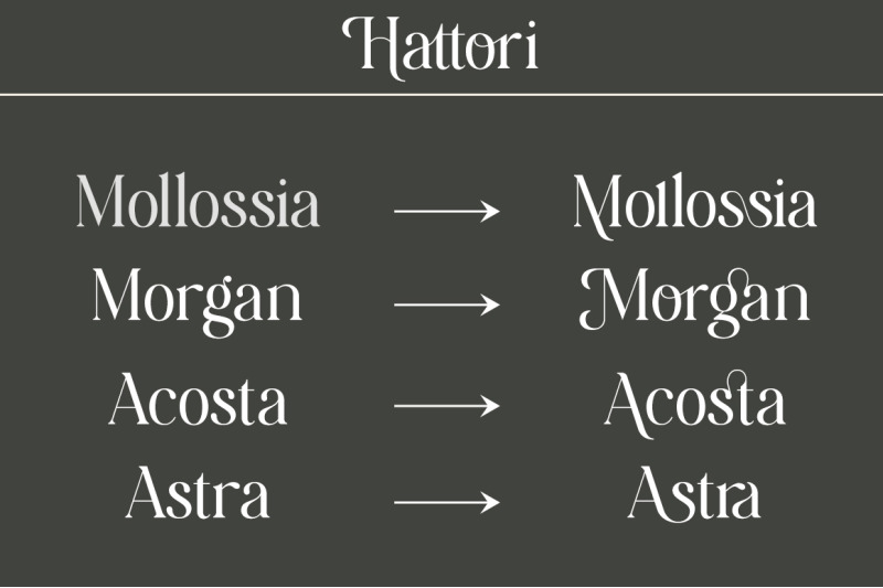 hattori-elegant-font
