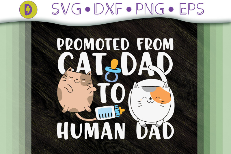 promoted-from-cat-dad-to-human-dad