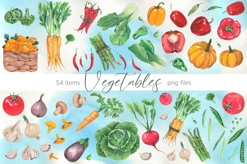 watercolor-vegetables-and-herbs-hand-painting-clip-arts